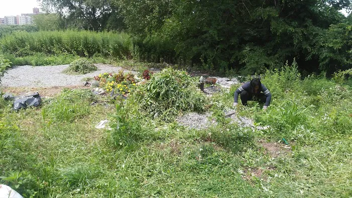 Butterfly Meditation Garden Picture 6