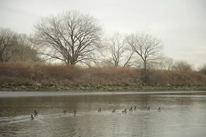 Hunts Point Riverside Park Picture 8