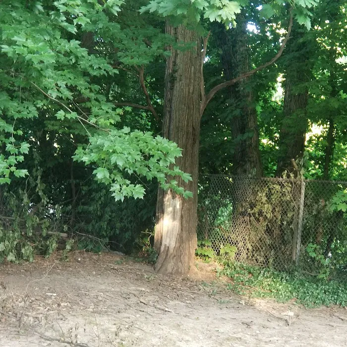 Chester Heights Park Picture 7