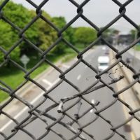 Metcalf Park ico