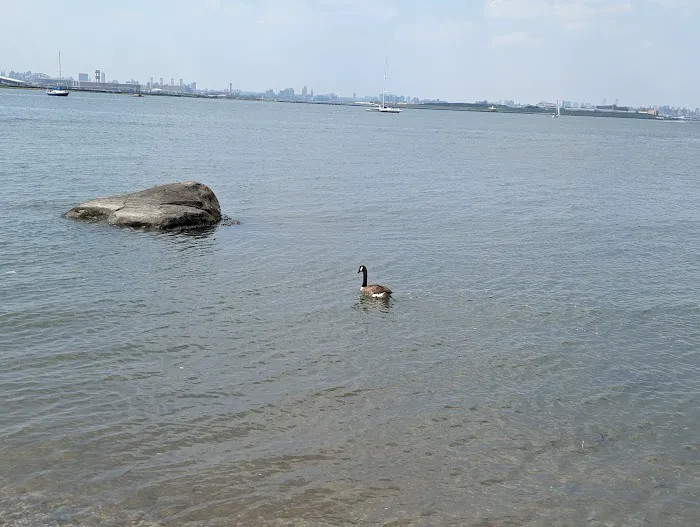 Big Rock Beach Picture 5