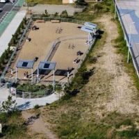 Dog Park ico