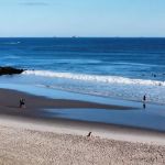 🏖Beach 91st St Benches