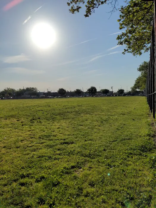Vito Locascio Field Picture 3