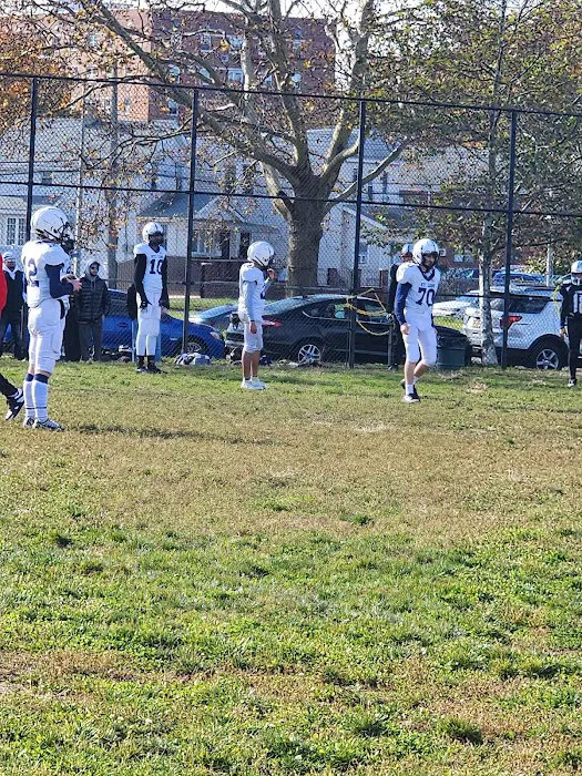 Vito Locascio Field Picture 6