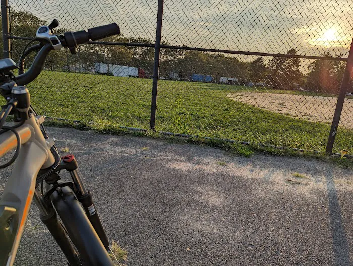Vito Locascio Field Picture 7