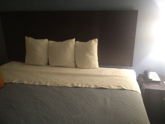 Ozone Inn & Suites Picture 3