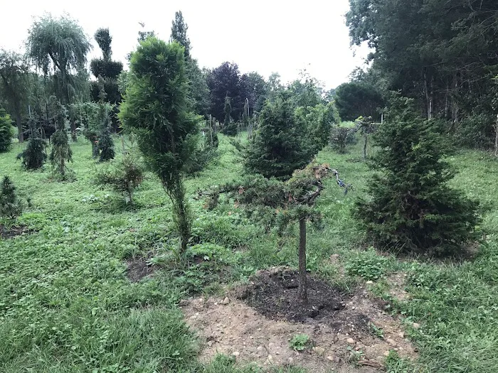 Folly Tree Arboretum Picture 2