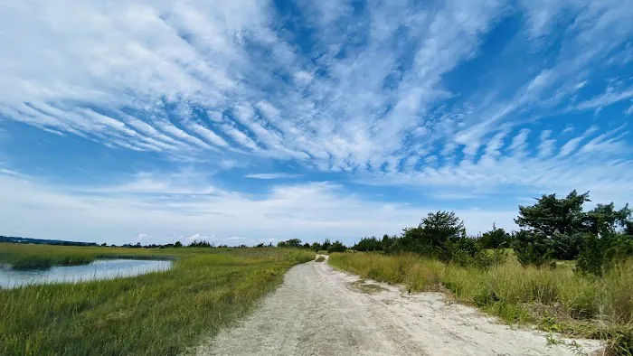 Sammys Town Beach Picture 3