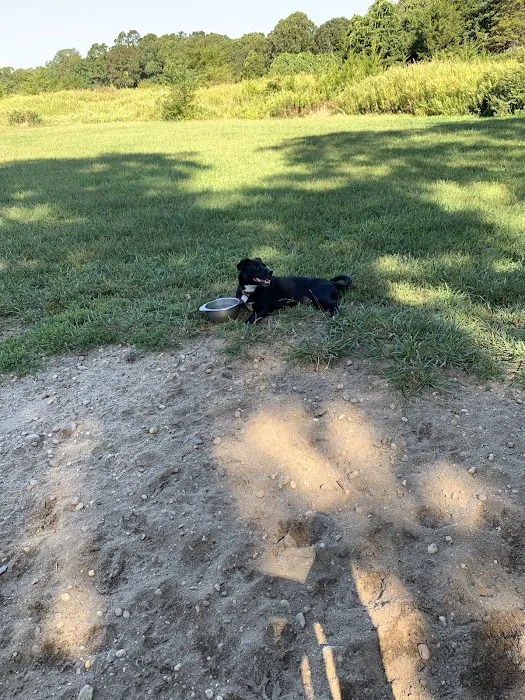 Springs Park Dog Park Picture 8