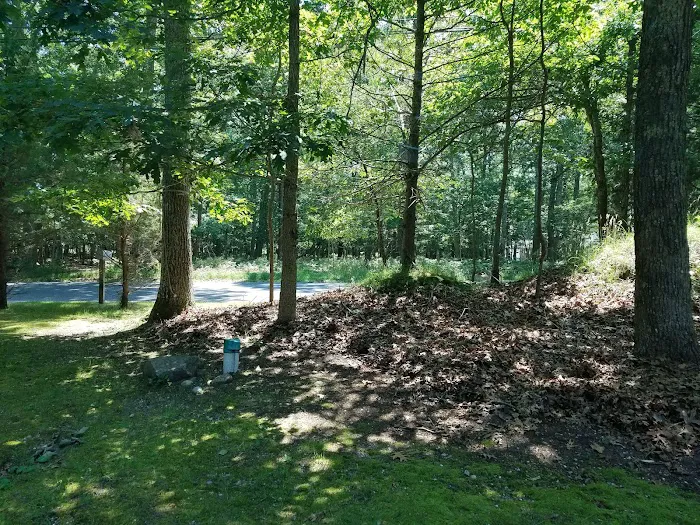 Springs Park Dog Park Picture 6