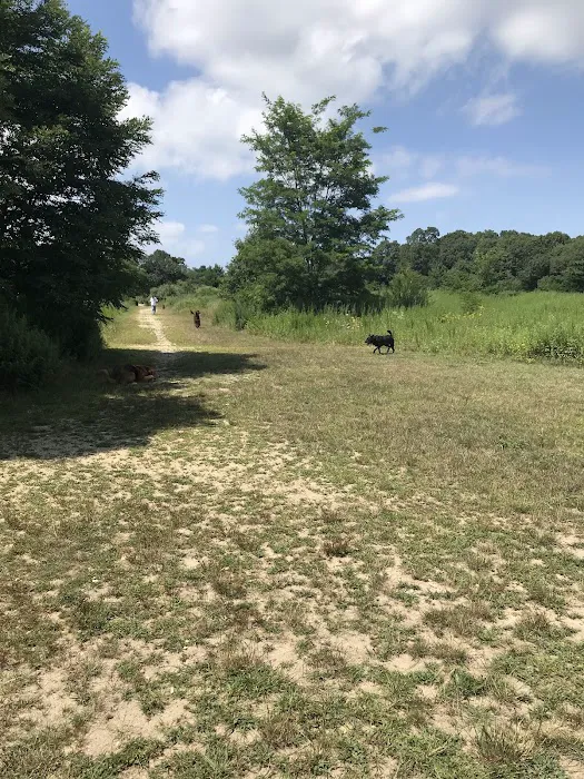 Springs Park Dog Park Picture 4