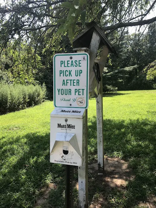 Springs Park Dog Park Picture 1