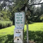 Springs Park Dog Park