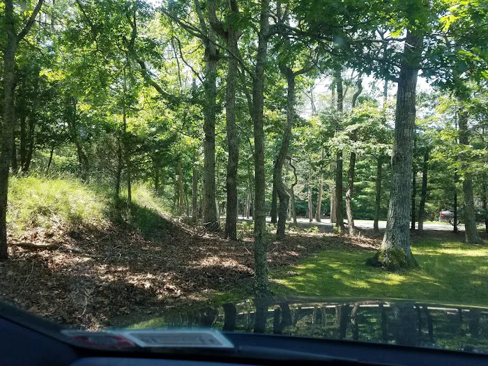 Springs Park Dog Park Picture 9