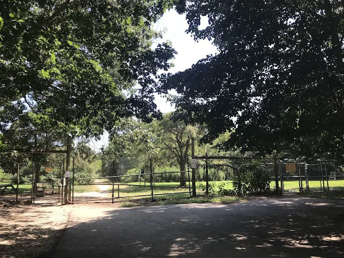 Springs Park Dog Park Picture 2