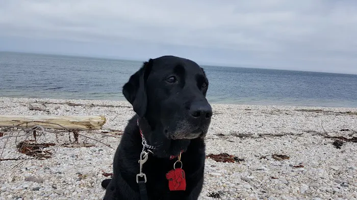 Truman Beach Picture 3