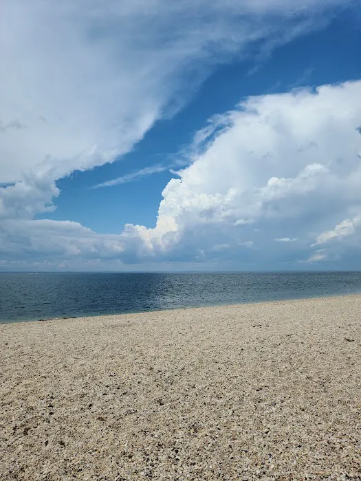 Truman Beach Picture 4