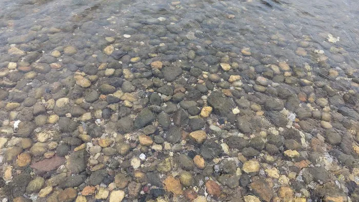Harbor Road Beach Picture 6