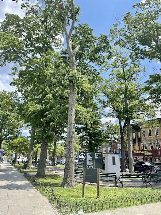 Lt. Frank McConnell Park Picture 7