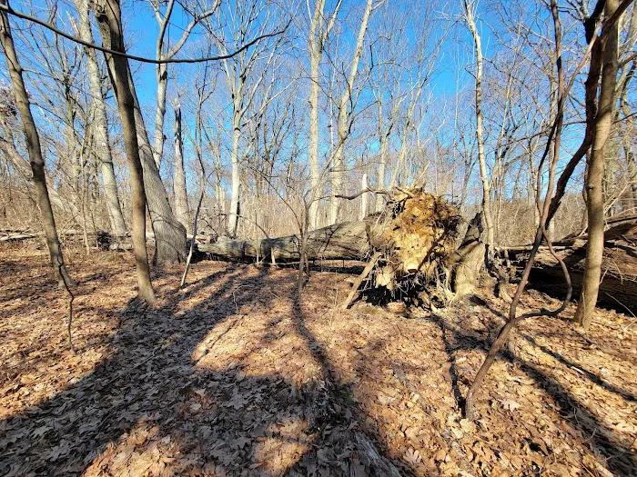 Jackson Pond Playground Picture 2