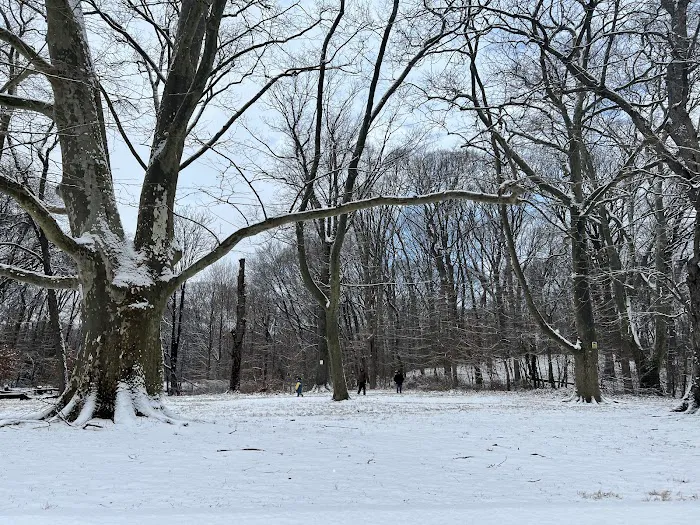 Jackson Pond Playground Picture 3