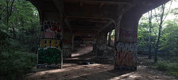 Forest Park Picture 6