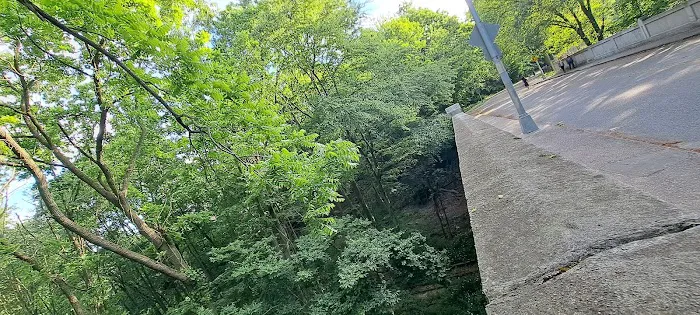 Forest Park Picture 2