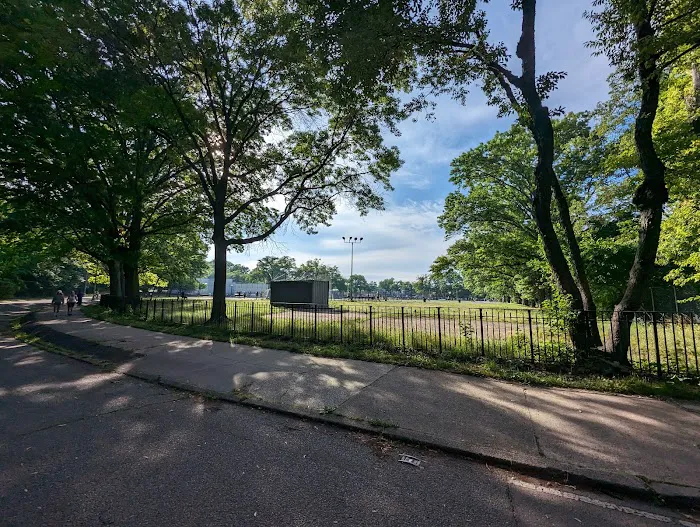 Forest Park Picture 10