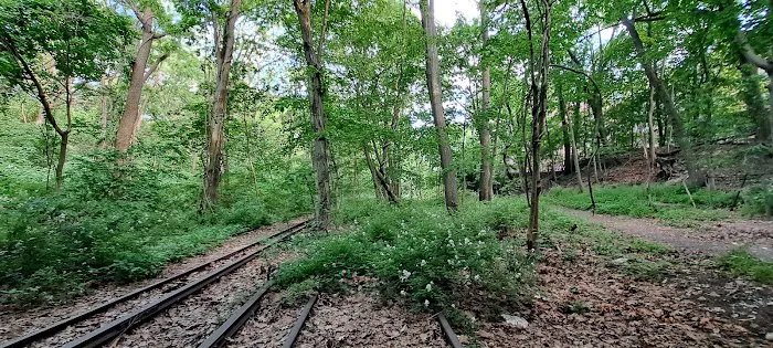 Forest Park Picture 9