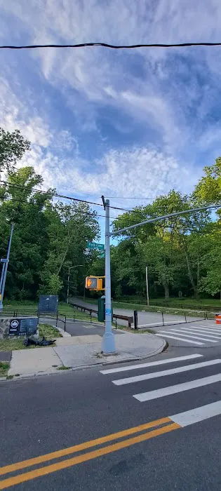 Forest Park Picture 1