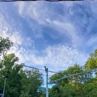 Forest Park ico