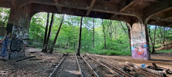 Forest Park Picture 3