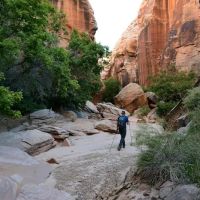 Forest Park Blue Trail Head ico