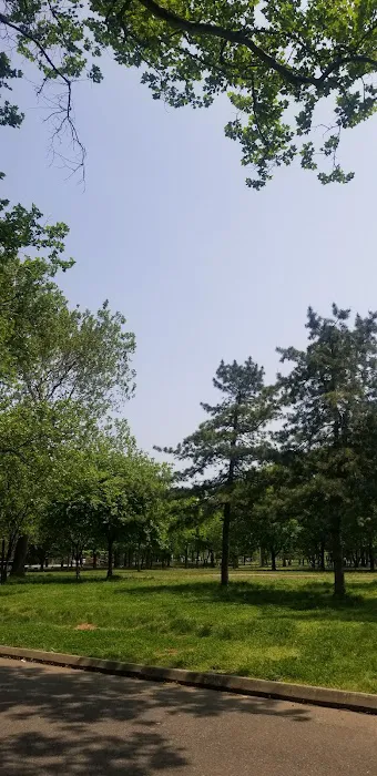 Nyc Parks Picture 5