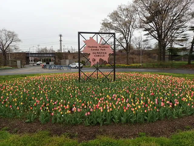Calvert Circle Picture 2
