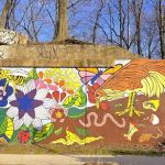 The Compost Collective