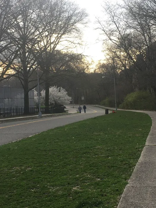North Forest Park Picture 2