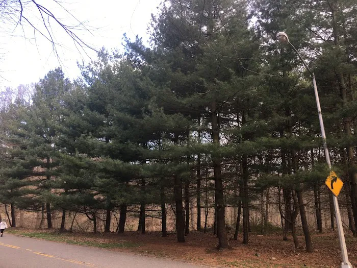 North Forest Park Picture 1