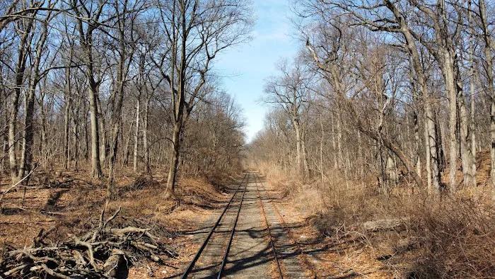 North Forest Park Picture 9