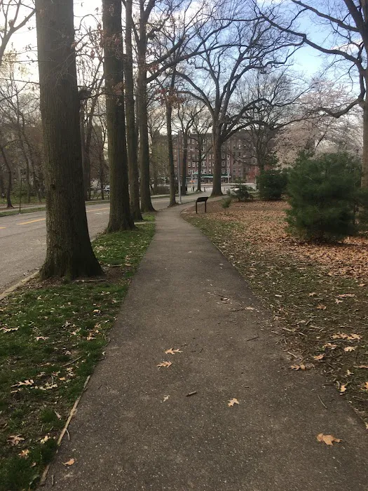 North Forest Park Picture 4