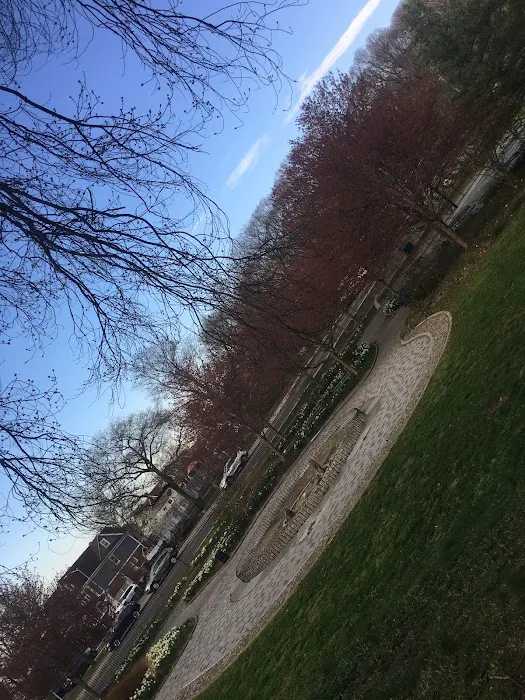 North Forest Park Picture 7