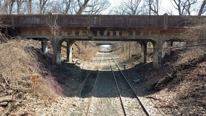North Forest Park Picture 8