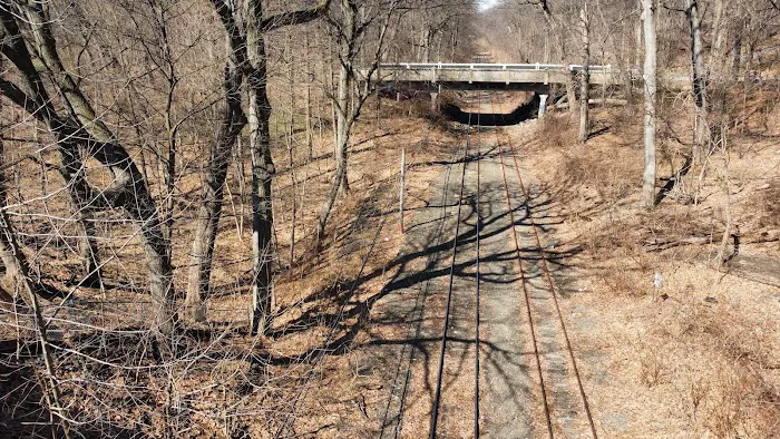 North Forest Park Picture 10