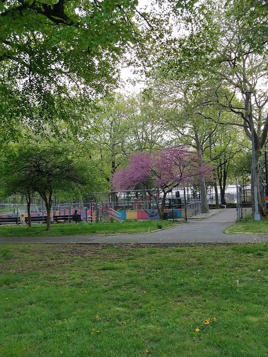 80-11 Myrtle Ave Picture 4