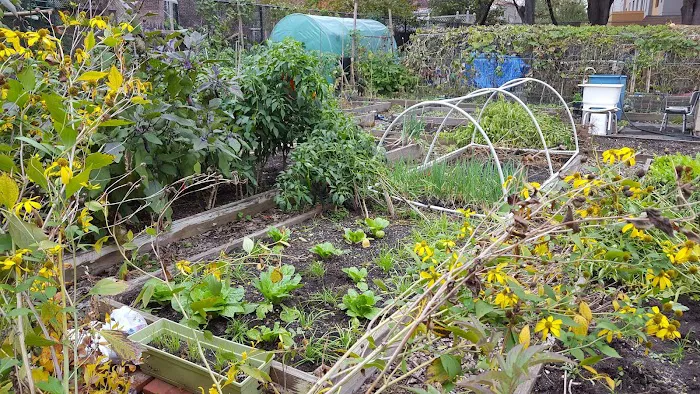 Sparrow's Nest Community Garden Picture 6