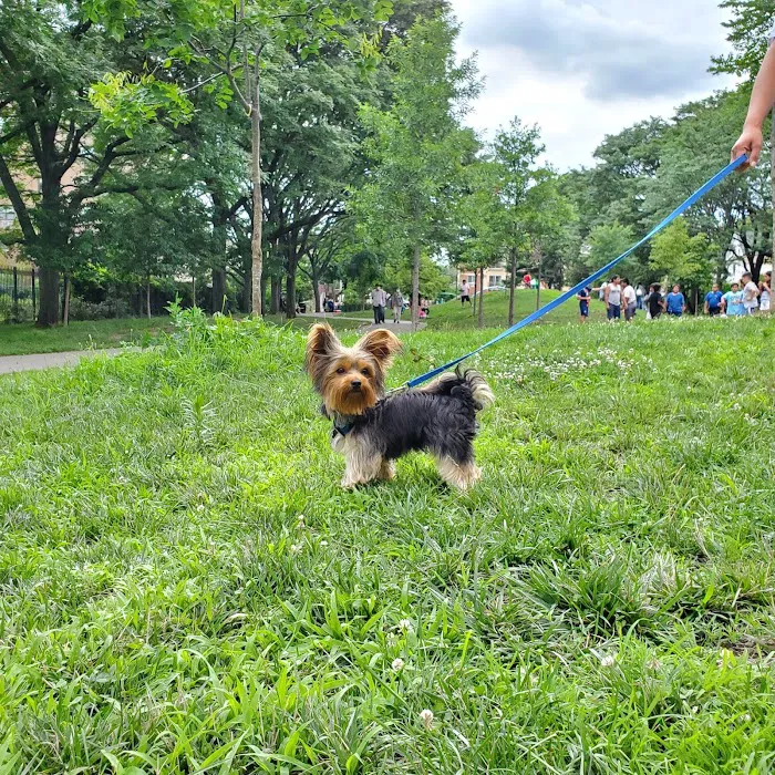 Louis Simeone Park Picture 9
