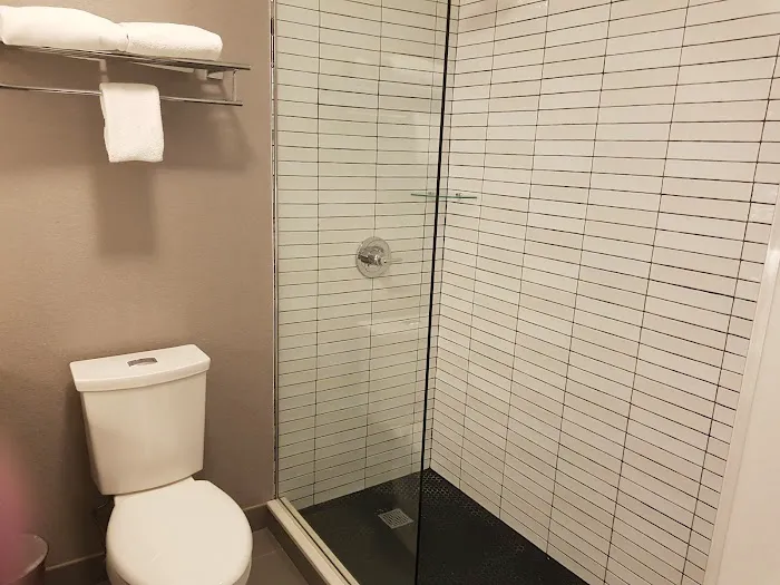 Wyndham Garden LaGuardia South Picture 8