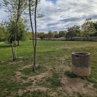 Willow Park ico