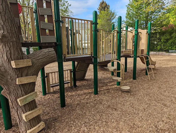 Willow Park Picture 4